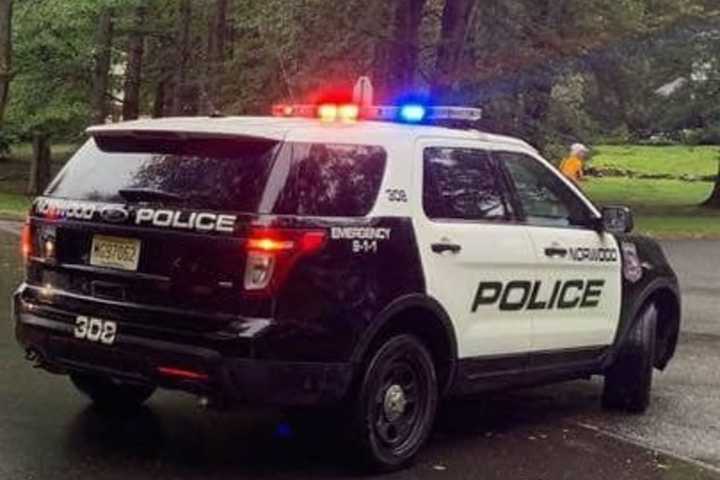 Stranger In Black Sedan Tries Talking To Teen Girl On Norwood Street, Police Say