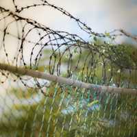 'Father Figure' Who Groomed Young Girl In Charles County Learns Prison Fate