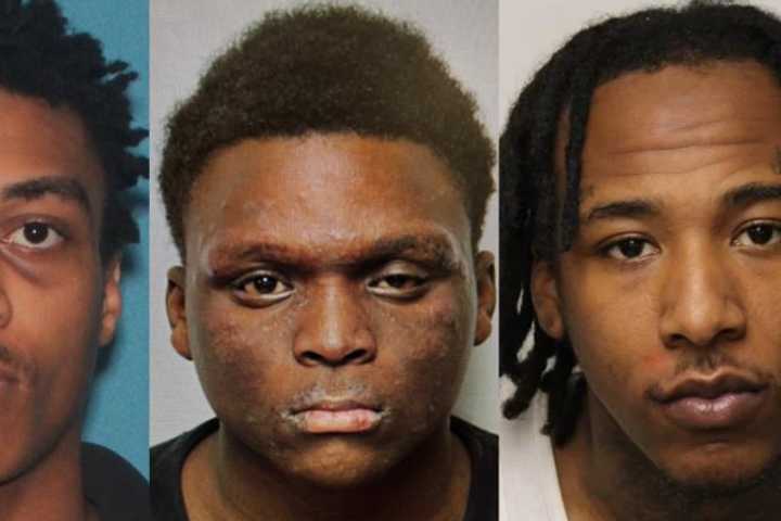 Cops Arrest 12-Year-Old After Garden State Parkway Chase Involving Stolen BMW, Chief Says