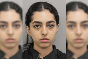 Speeding Teen Charged In Crash That Killed Virginia Mom Of 5 Days Before Birthday: Cops