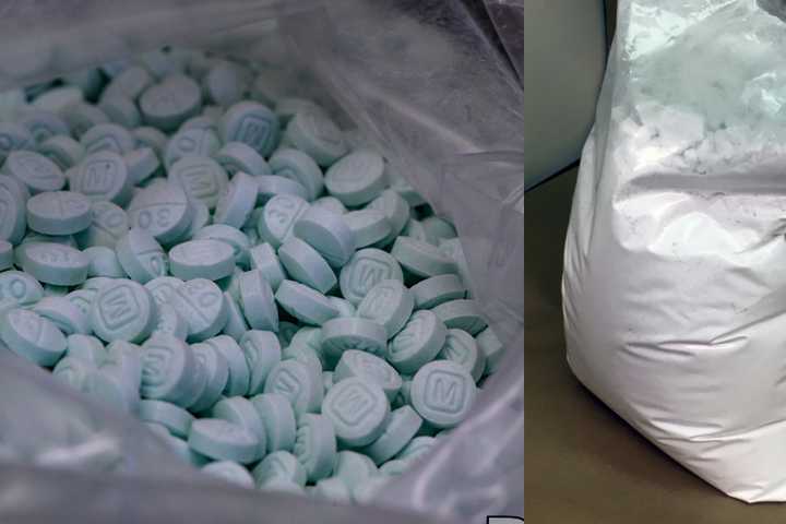 ‘No Budget’ Drug Ring Busted, White Plains Leader Charged In Murder, Witness Shooting: DOJ