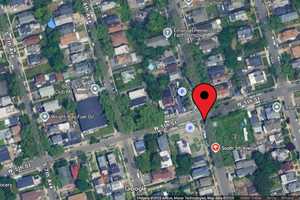 City Tree Trimmer Dies After Suffering Critical Injuries On Job In Mount Vernon (UPDATE)
